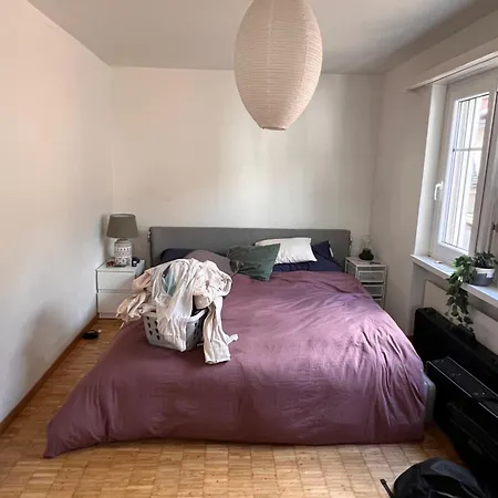 Cosy In The Heart Of Zürich